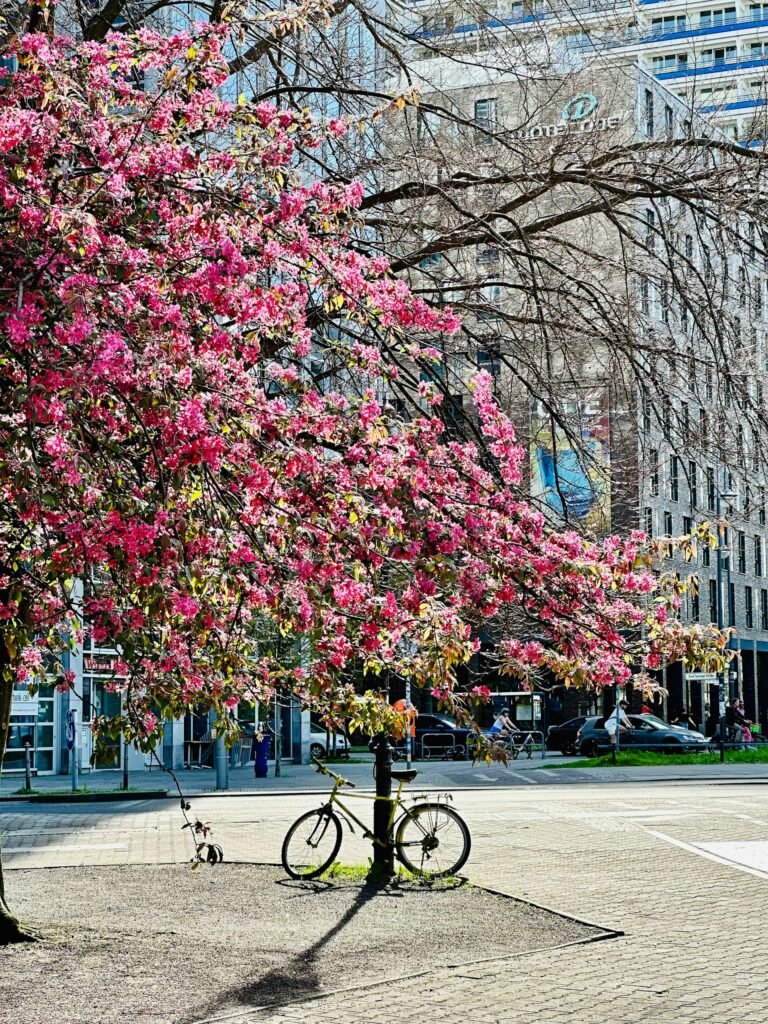 Best Places to Visit in Europe in May: Explore the Beauty of Springtime Adventures